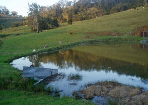  Accommodation Bookings