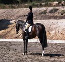 Apptrak Stud - Accommodation Bookings