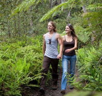 Blackheath Glen Tourist Park - Accommodation Bookings