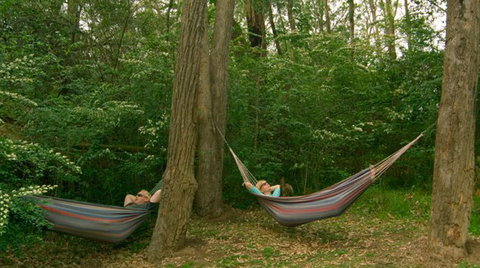 Bingle Tree Retreat - Accommodation Bookings 1