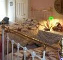 A Winter-Rose Cottage Bed and Breakfast - Accommodation Bookings