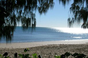 Scarness Beachfront Tourist Park - Accommodation Bookings 1