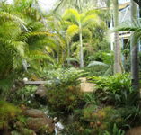 Chamomile Bed and Breakfast - Accommodation Bookings