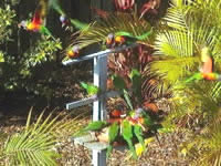 Chamomile Bed And Breakfast - Accommodation Bookings 1