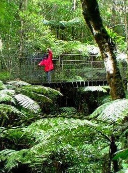 Katandra Mountain Farm House - Accommodation Bookings 2
