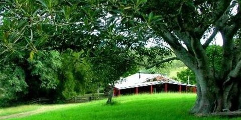 Katandra Mountain Farm House - Accommodation Bookings 5