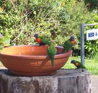 Lamb Island Bed and Breakfast - Accommodation Bookings