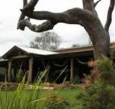 The Hollow Log Country Retreat - Accommodation Bookings
