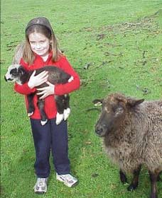 Cinnamon Coloureds Farmstay - Accommodation Bookings 0