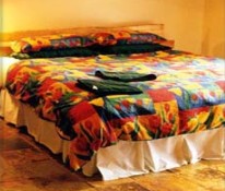 Cinnamon Coloureds Farmstay - Accommodation Bookings 1