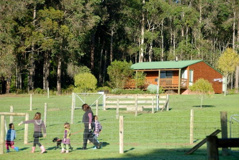 Diamond Forest Farm Stay - Accommodation Bookings 0
