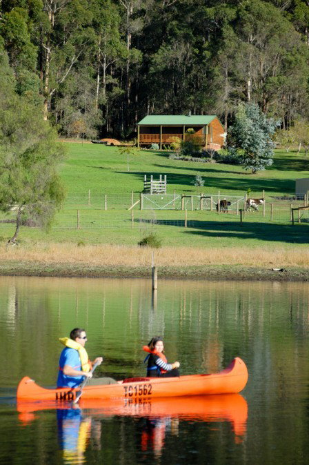 Diamond Forest Farm Stay - Accommodation Bookings 2