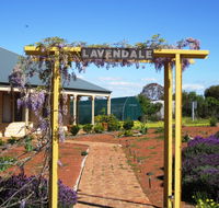 Lavendale Farmstay and Cottages - Accommodation Bookings