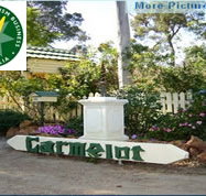 Carmelot Bed  Breakfast - Accommodation Bookings