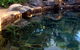 Atherton Holiday Park - thumb 4