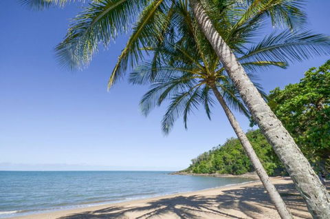 Roydon Beachfront Holiday Apartments - Accommodation Bookings 4
