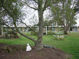 The Gold Sovereign Motor Inn - Accommodation Bookings 0