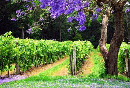  Accommodation Bookings