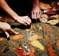 Daintree Eco Lodge And Spa - Accommodation Bookings