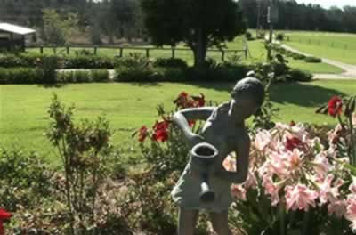 Jacaranda Country Lodge - Accommodation Bookings 2