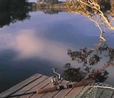 Jacaranda Country Lodge - Accommodation Bookings 4