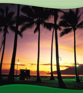 Bay Village Tropical Retreat, Cairns - Accommodation Bookings 1