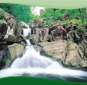 Bay Village Tropical Retreat, Cairns - Accommodation Bookings 2