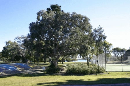 Coolwaters Holiday Village - Accommodation Bookings 5