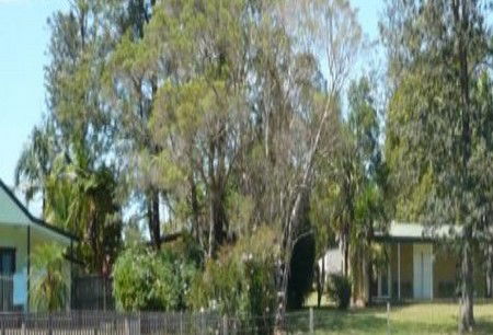 Nimbin Backpackers At Grannys Farm - Accommodation Bookings 0