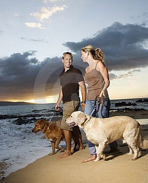 Four Seasons Holiday Park - Accommodation Bookings 3