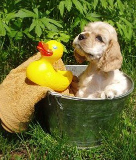 Four Seasons Holiday Park - Accommodation Bookings 4