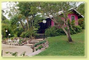 Jacaranda Cottage - Accommodation Bookings 2