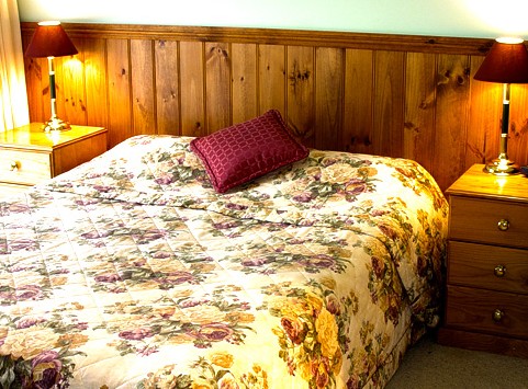 Mountain View Motor Inn And Holiday Lodges - thumb 1