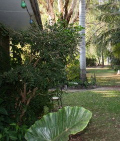 Douglas Daly Holiday Park - Accommodation Bookings 1