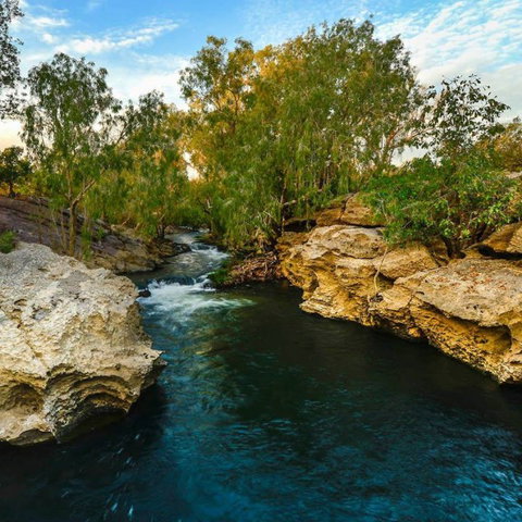 Douglas Daly Holiday Park - Accommodation Bookings 7