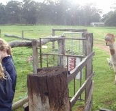 Boronia Farm Farmstay - Accommodation Bookings