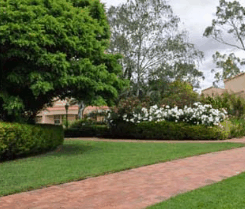 Barossa Weintal Hotel Motel - Accommodation Bookings 2