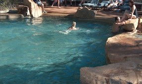 Undara Experience Lava Lodge - Accommodation Bookings 0
