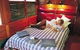 Undara Experience Lava Lodge - thumb 1