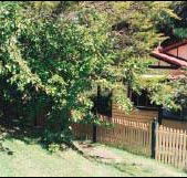 Apple Tree Cottage - Accommodation Bookings
