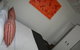 Shoredrive Motel - thumb 2