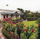 Antique Market of Warrnambool - Accommodation Bookings