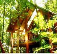 The Canopy Treehouses - Accommodation Bookings