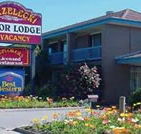 Strzelecki Motor Lodge - Accommodation Bookings