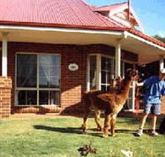 Brilea Cottages