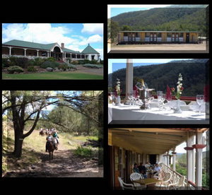 Bestbrook Mountain Resort - Accommodation Bookings 1
