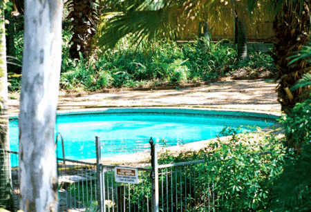 Forest Lodge Apartments - Accommodation Bookings