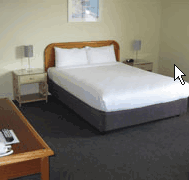 Hamilton Motor Inn - Accommodation Bookings