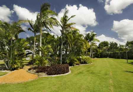 Mcnevins Loganholme - thumb 3