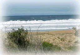 Wagstaffe NSW Accommodation Bookings